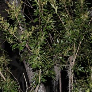 Meet your Posher, Zack